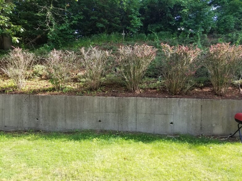 Backyard - 1 - 2 George Rd