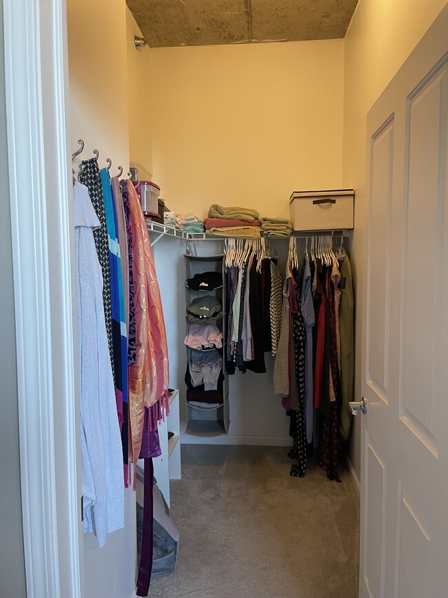 walk-in closet - 1464 S Michigan Ave