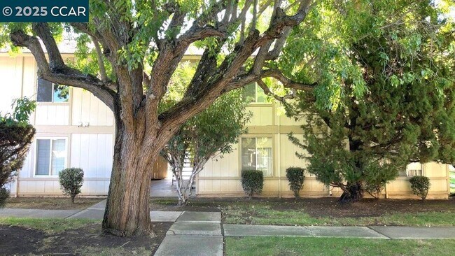 Building Photo - 4260 Clayton Rd