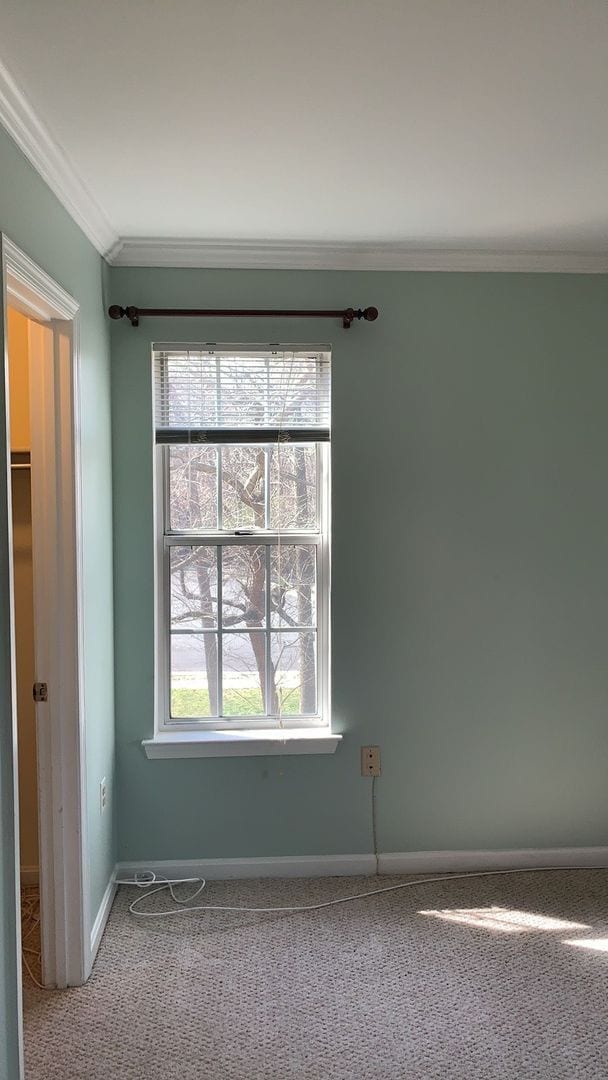 Building Photo - Top Floor Condo with Fireplace and Open Fl...