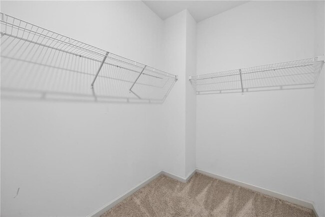 Building Photo - 7016 Fringe Flower Dr