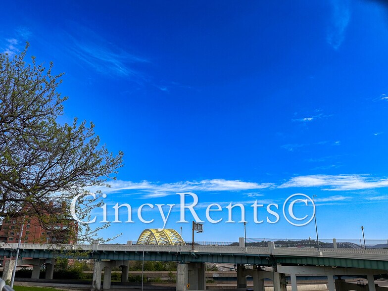 Building Photo - 334 Kilgour St