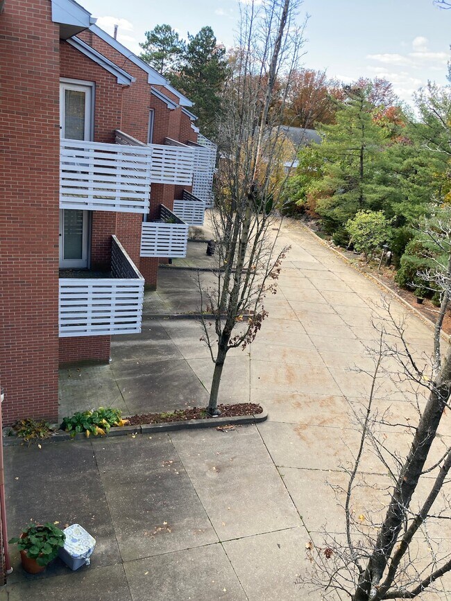 View from Upper Deck - Juno Place Townhomes