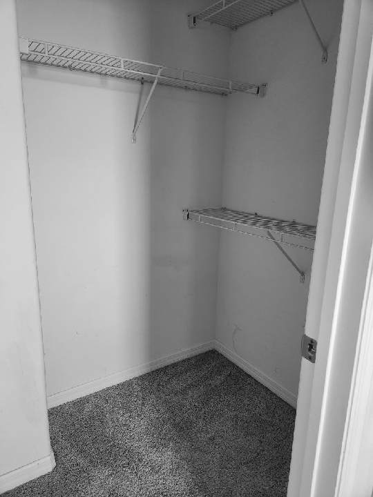 Building Photo - 105 Misty Glen Ln