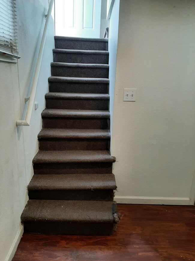 Building Photo - College Housing - 4 bedrooms