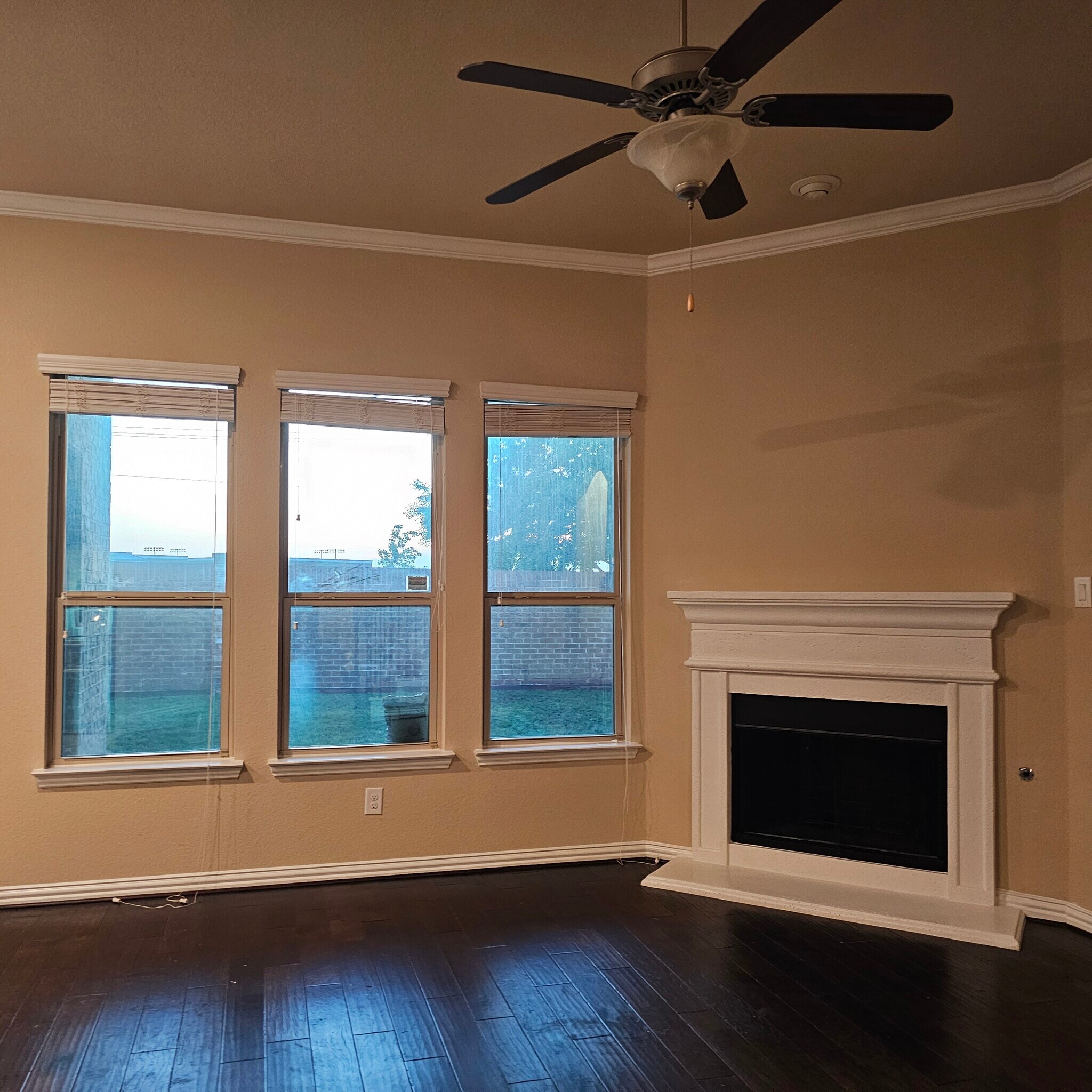 Living Space with Fire place - 905 Avian Dr