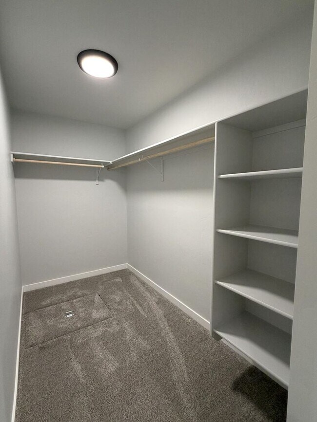 Building Photo - Brand new 3 bed 2 bath home with bonus roo...