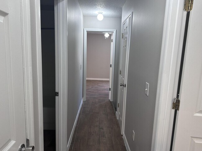 Building Photo - 2929 Fan Palm Dr