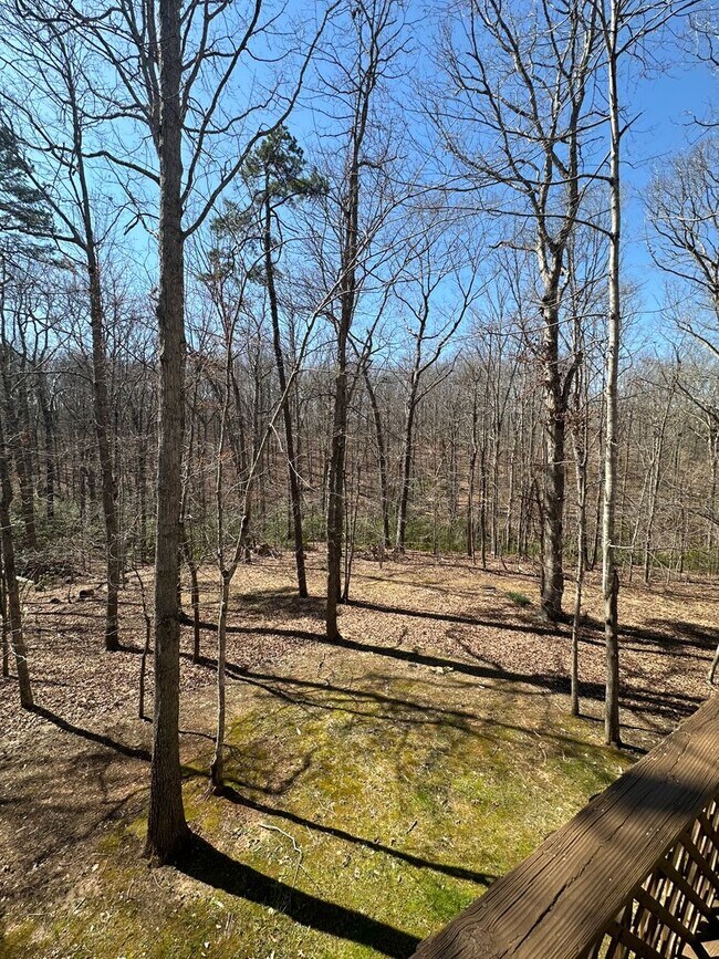 Building Photo - Lake Monticello Rental 3Bed/3Bath House