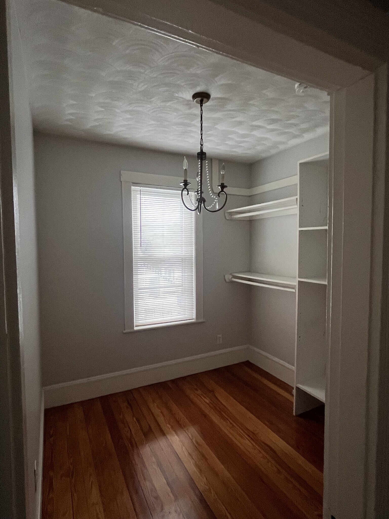 Building Photo - 69 Homer St