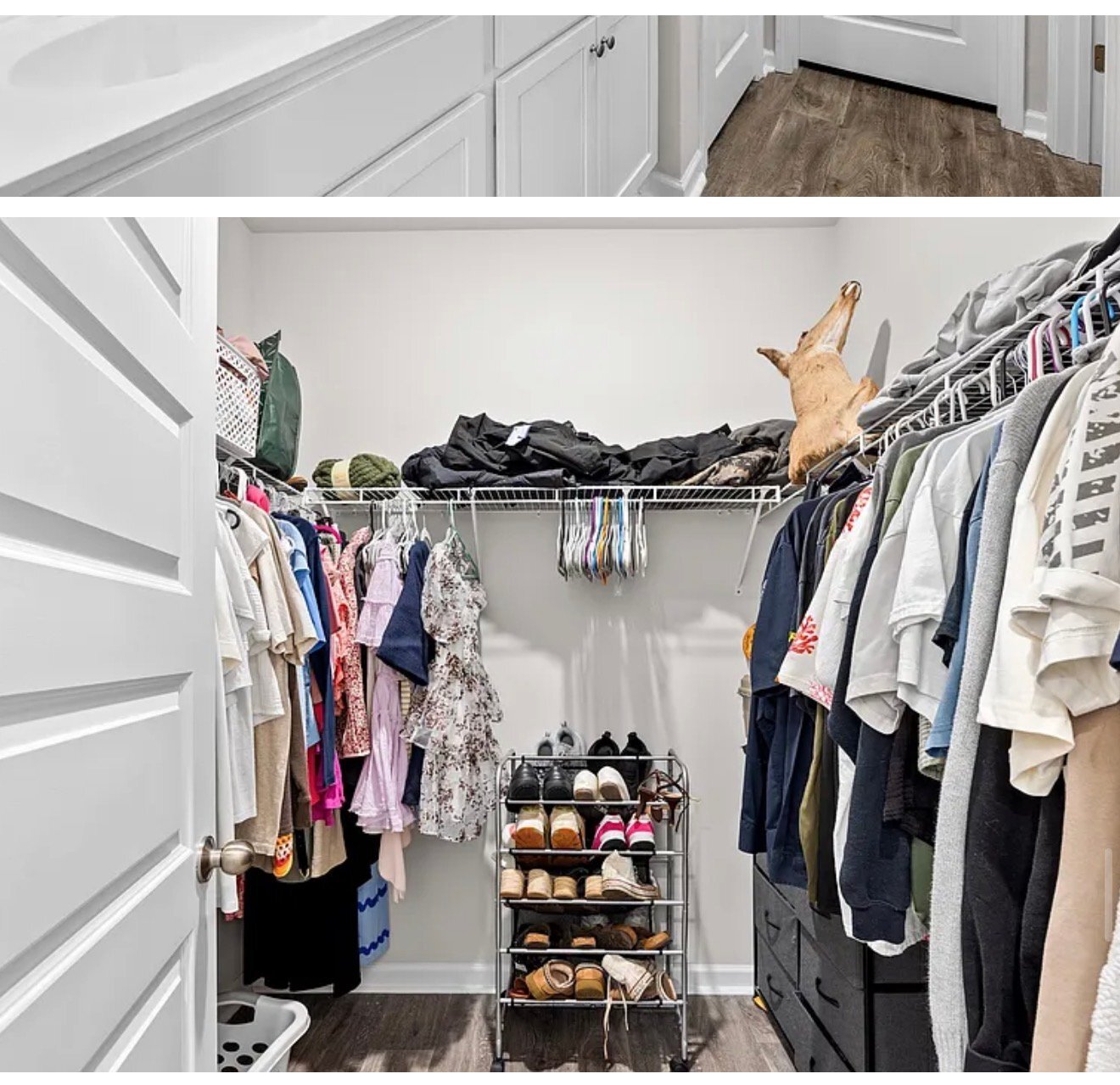 Building Photo - 1141 Blueback Herring Wy