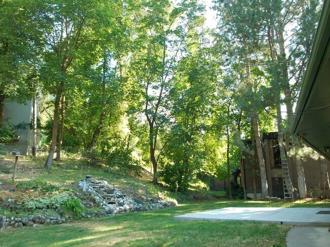 Building Photo - 996 Thrushwood Dr