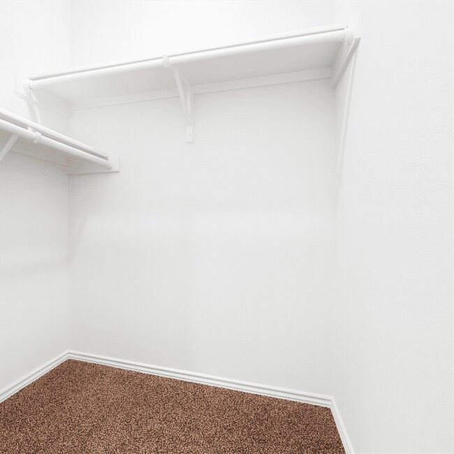 Building Photo - 2111 Organ Pipe Cactus