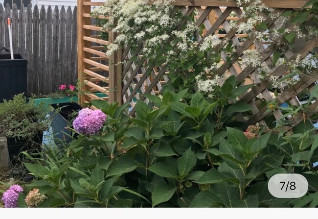 Building Photo - 58 W Central Ave