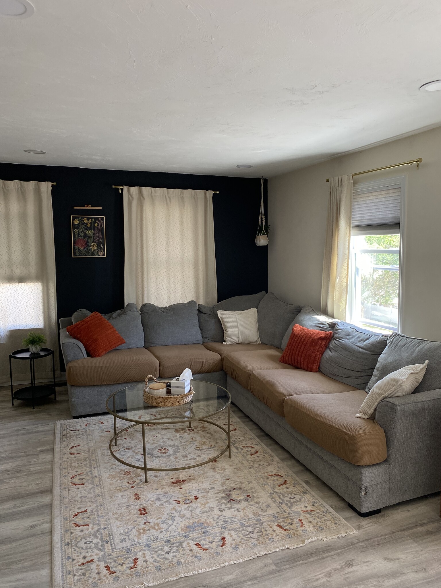 Living room - 19D Sigourney St