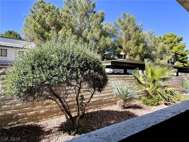 Building Photo - 6820 San Ricardo
