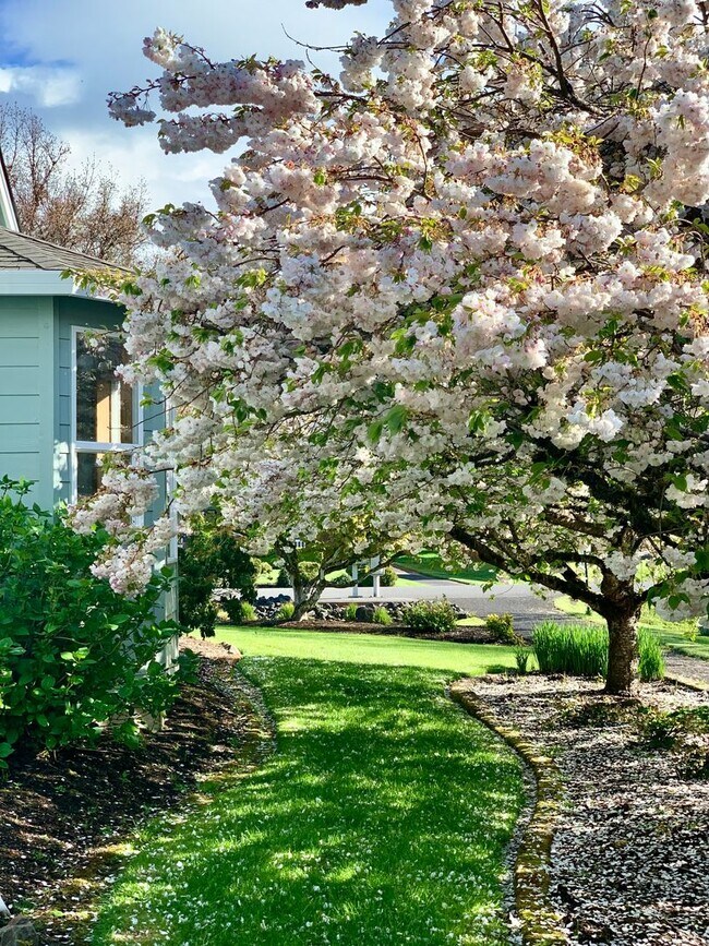 Building Photo - One Level Home - Three Bedroom + Bonus with AC / Beautiful Yard!