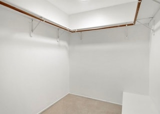 Huge walk-in closet - 572 Plumosa Ave