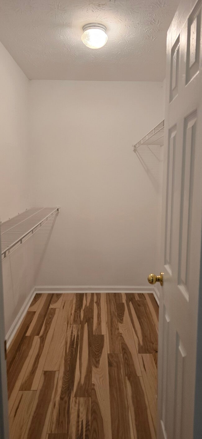 Building Photo - 85 Cashew Ct