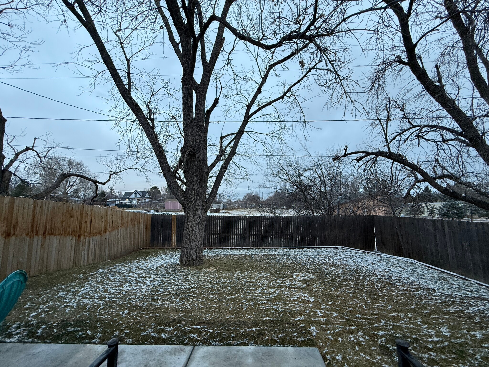 Backyard - 5916 Newcombe Ct