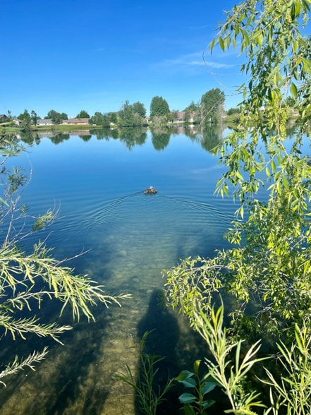 Building Photo - 112 W Dooley Ln