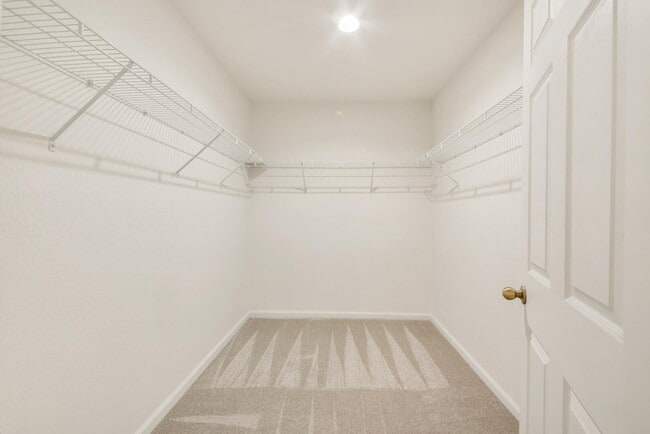 Building Photo - 4102 Emerald Vista