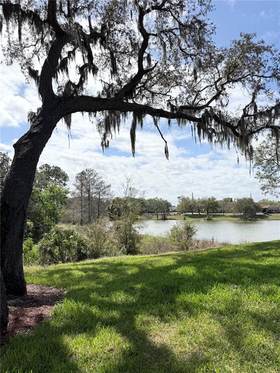 Building Photo - 709 Secret Harbor Ln