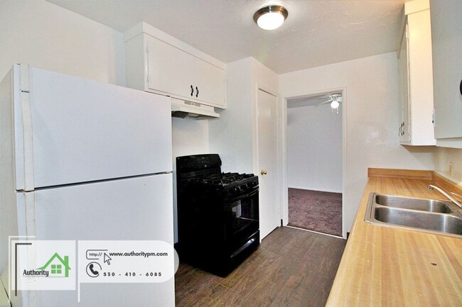 Building Photo - 3120 Stingy Ln