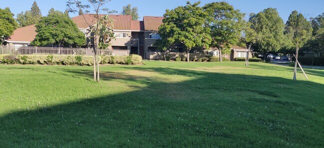 Building Photo - 200 E Alessandro Blvd