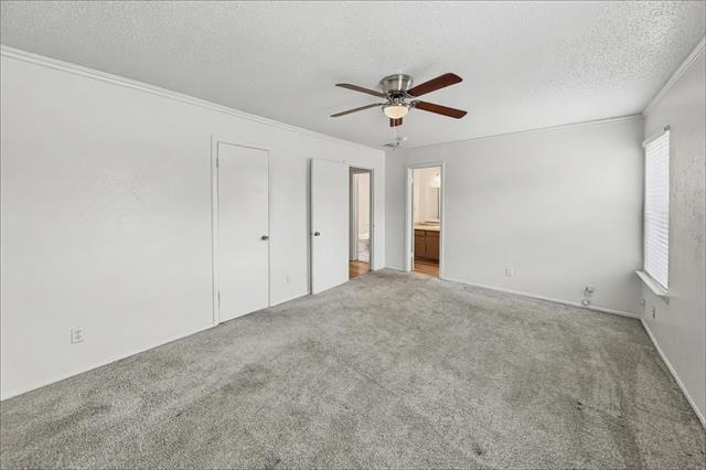 Building Photo - 3862 Wonder Ct
