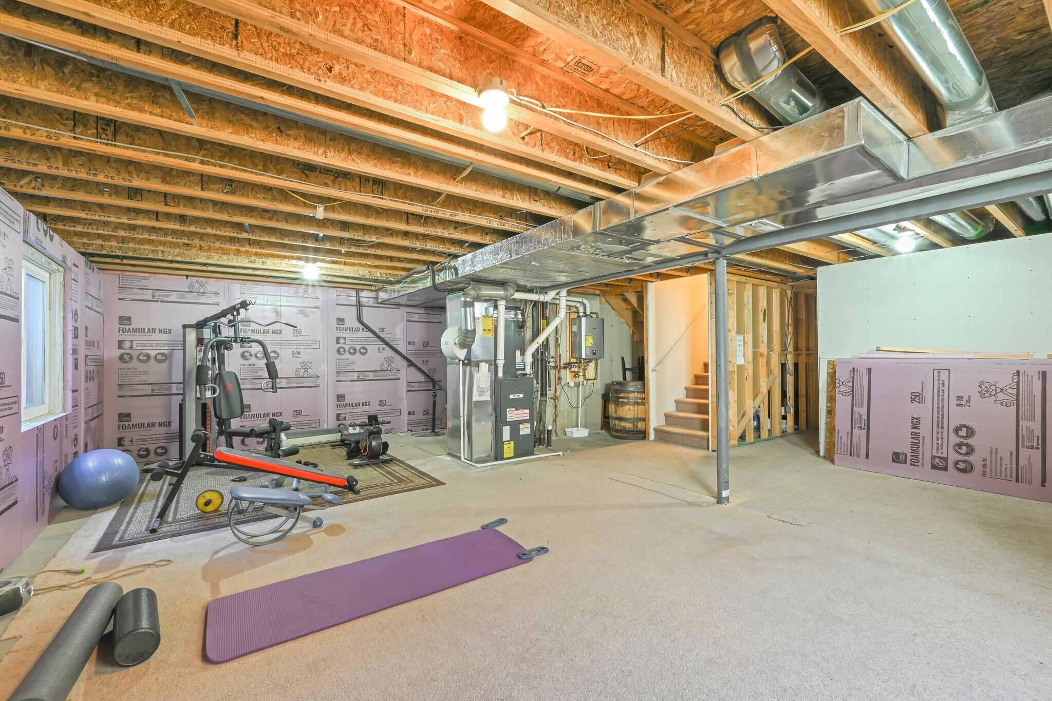 Basement with small gym - 2633 Clarion Ln