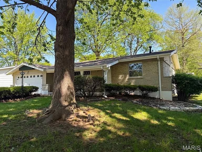 Building Photo - 1321 Petite Dr