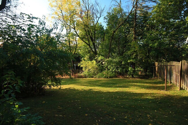 massive backyard - 728 S Pugh St