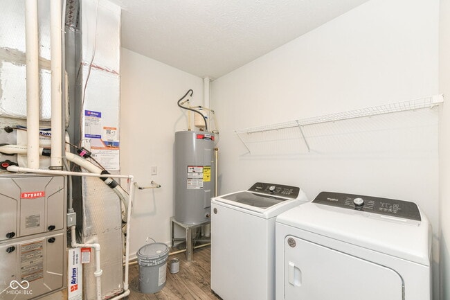 Building Photo - 291 Limerick Ln