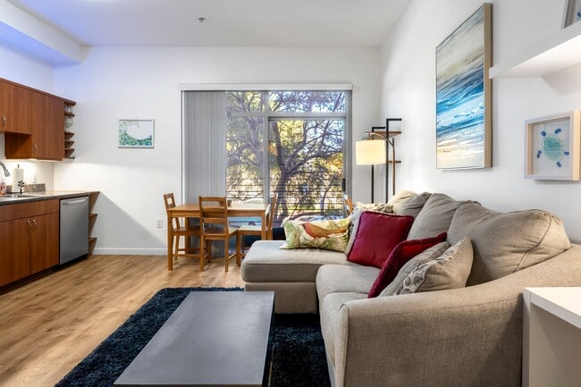 Building Photo - March Move-in Special!!! Downtown Cortez Hill Junior Studio | Pool, Parking & Modern Finishes