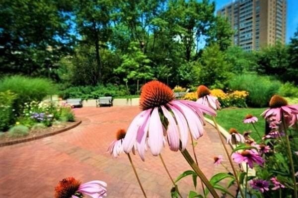 Building Photo - 2 Hawthorne Pl