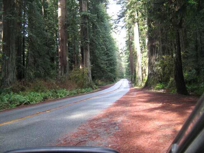 Jebediah State Park less than 3 miles - 2710 Oliver Ave