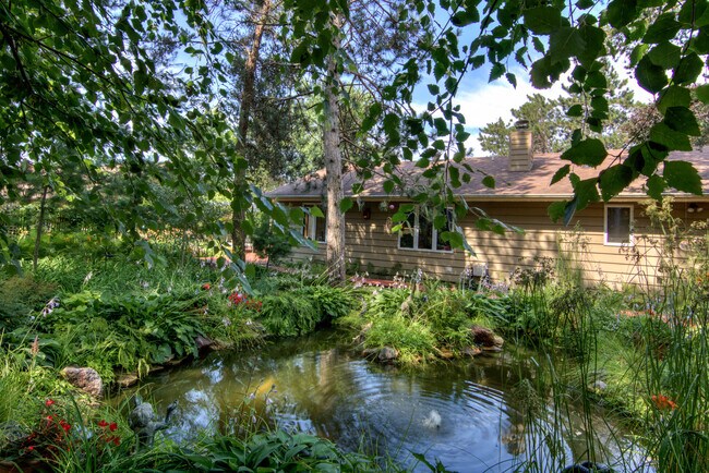 Back Yard - 3373 Whispering Pines Ln