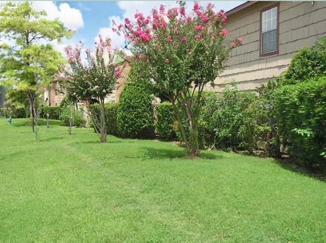 Building Photo - 9101 Country Creek St