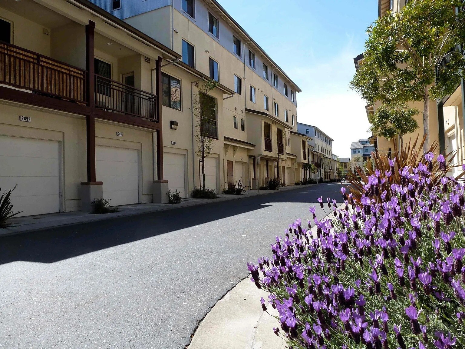 Building Photo - 2869 Regatta Dr