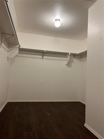 Building Photo - 10104 Benwick Dr