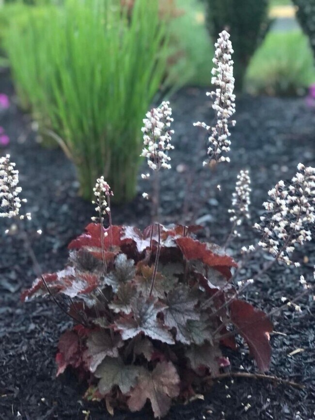 Building Photo - Heart's Desire End Unit Townhome 2700+ SqFt - Lowes Island