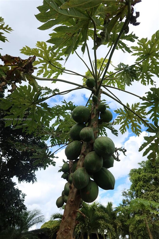 Building Photo - 27684 SW 163rd Ct