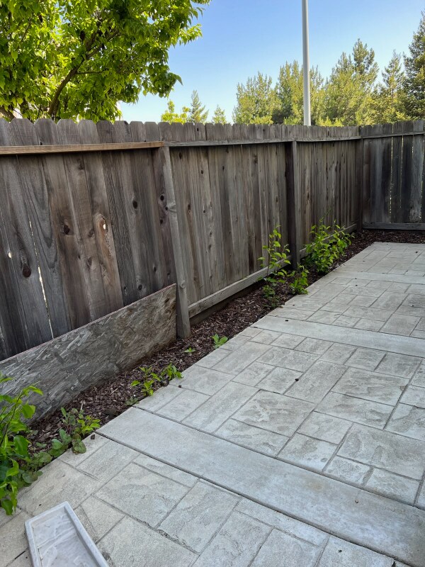 Building Photo - 9405 Clemente Dr