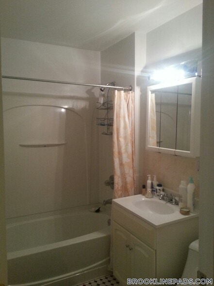 Building Photo - 66 Egmont St