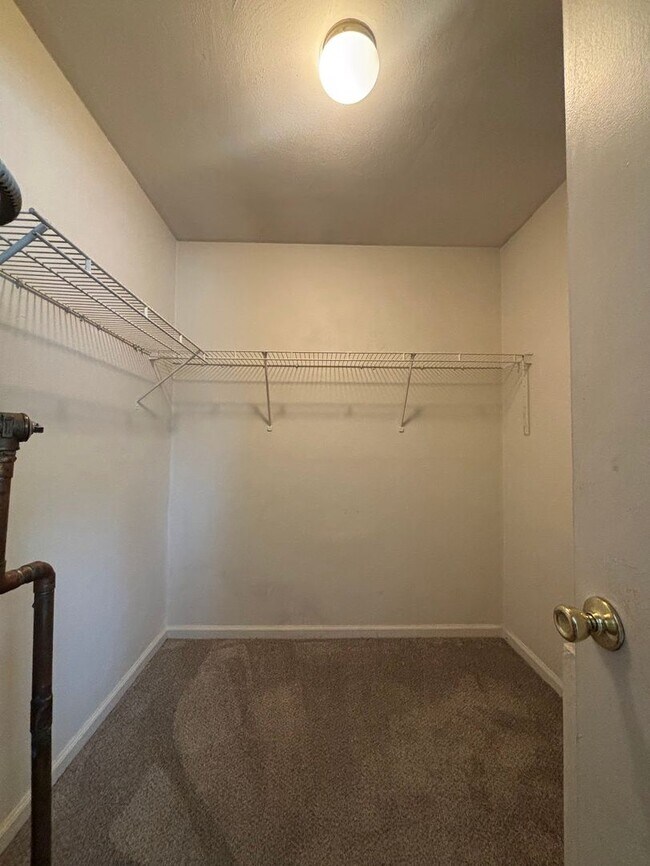 Building Photo - Cute One Bedroom in Norview Heights