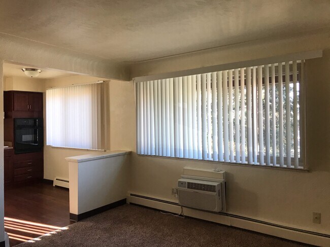 Large windows let in lots of natural light. - 123 W Powers Cir