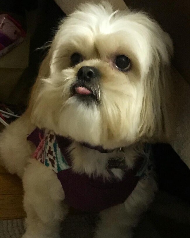 Building Photo - 1 Bedroom Vintage Lovers Dream