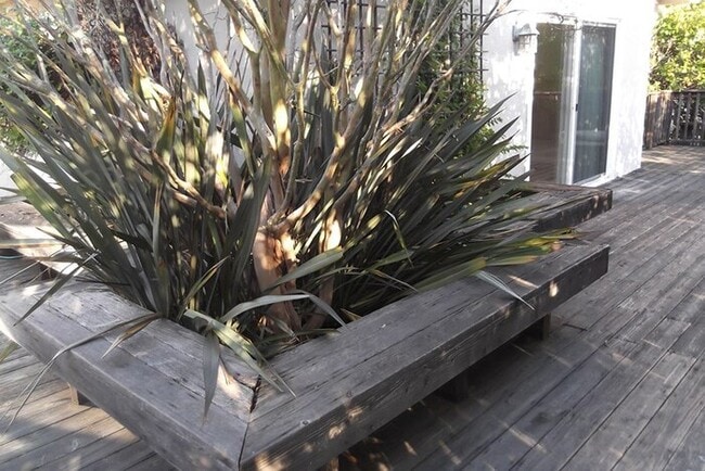 Building Photo - 3863 Campolindo Dr