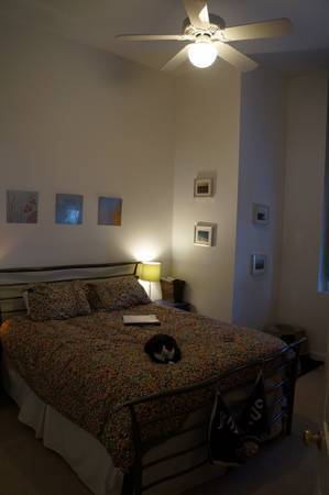 Building Photo - 48 Forest St